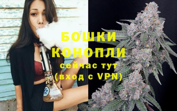 трава Арсеньев
